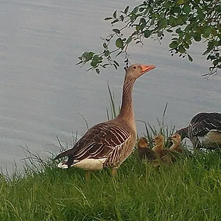 Messezimmer Laatzen Apo 1 בית הארחה Hemmingen (Hannover)