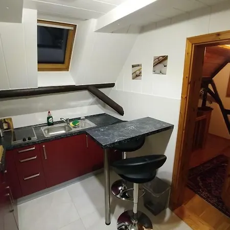 Messezimmer Laatzen Apo 1 בית הארחה