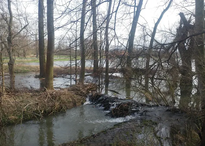 בית הארחה Messezimmer Laatzen Apo 1